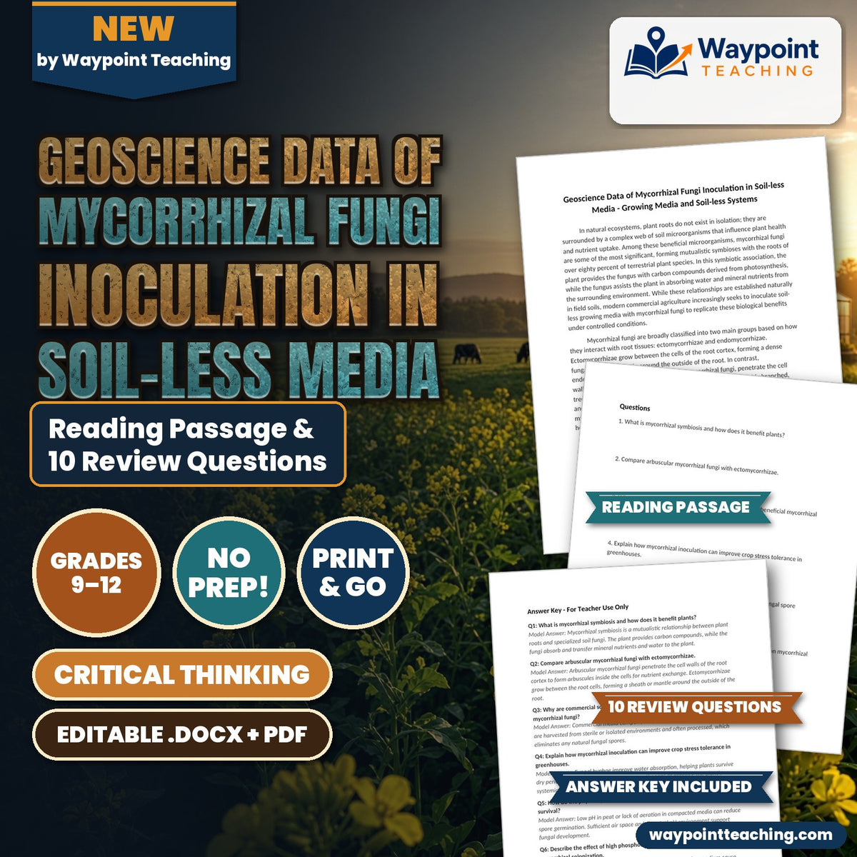 Geoscience Data of Mycorrhizal Fungi Inoculation in Soil-less Media Reading Worksheet cover