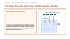 Growing Media & Soil-less Systems Phenomena-Based Lesson: The Cation Exchange and Aerated Root Oxygenation Paradox Presentation sample page