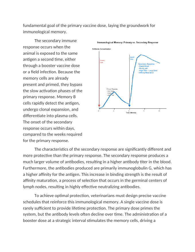 Immunological Memory and Designing Effective Vaccine Schedules Reading Worksheet sample page