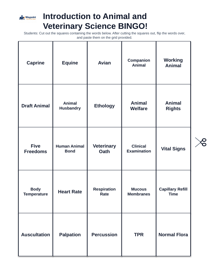 Introduction to Animal & Veterinary Science BINGO Review Game sample page