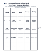 Introduction to Animal & Veterinary Science BINGO Review Game sample page