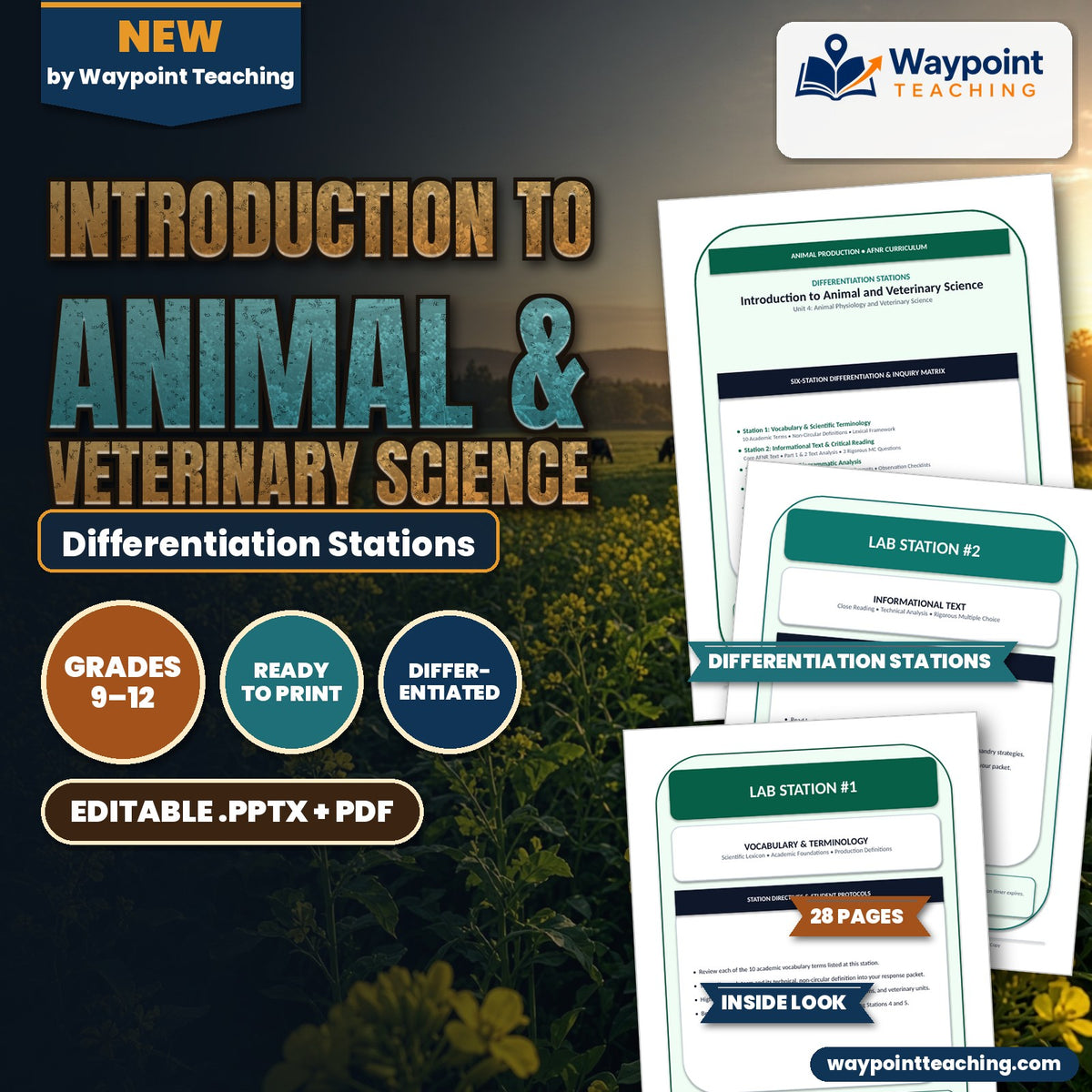 Introduction to Animal & Veterinary Science Differentiation Stations cover