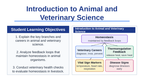 Introduction to Animal & Veterinary Science Slide Show Presentation sample page