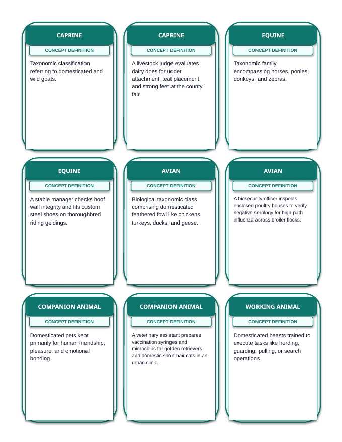 Introduction to Animal & Veterinary Science Tic-Tac-Toe Review Game sample page