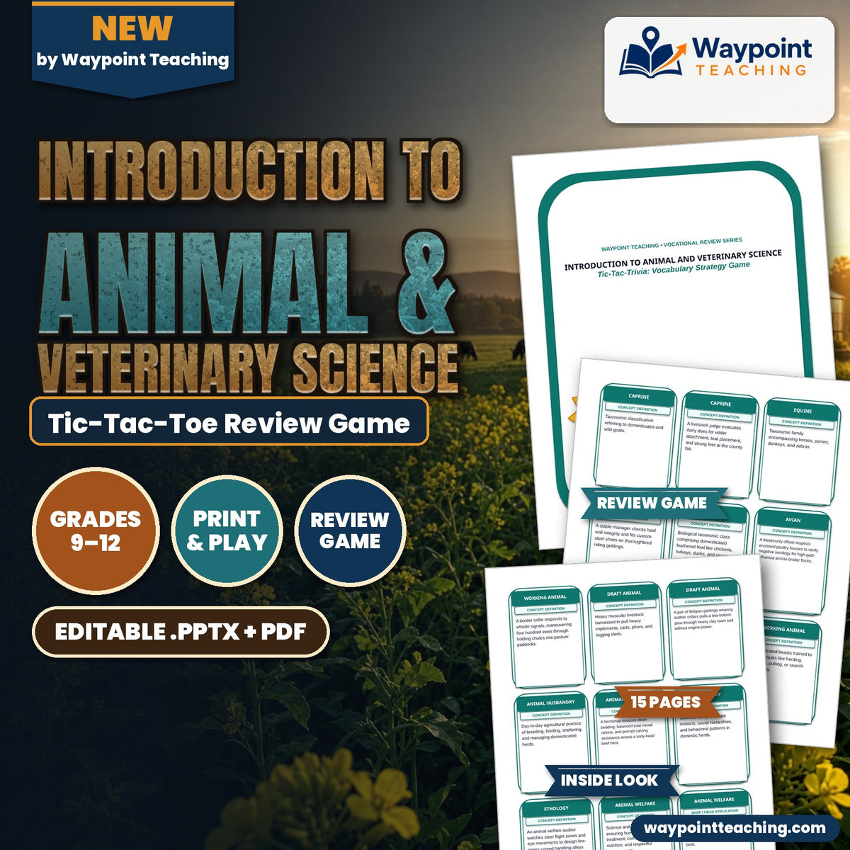 Introduction to Animal & Veterinary Science Tic-Tac-Toe Review Game cover