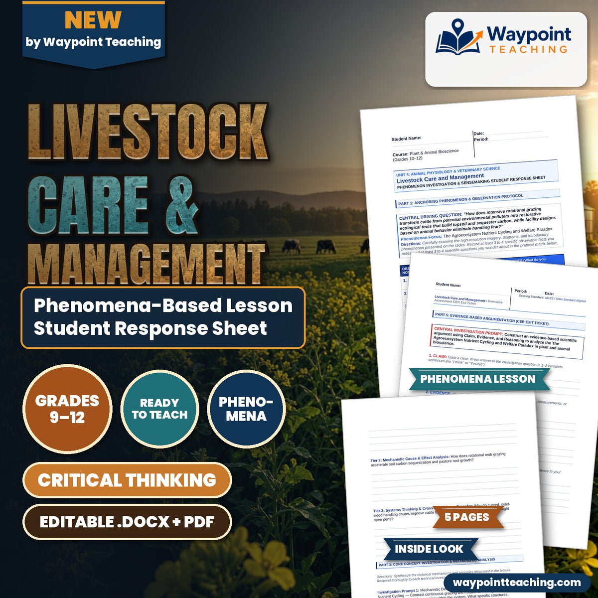 Livestock Care & Management Phenomena-Based Lesson: The Agroecosystem Nutrient Cycling and Welfare Paradox Student Response Sheet cover