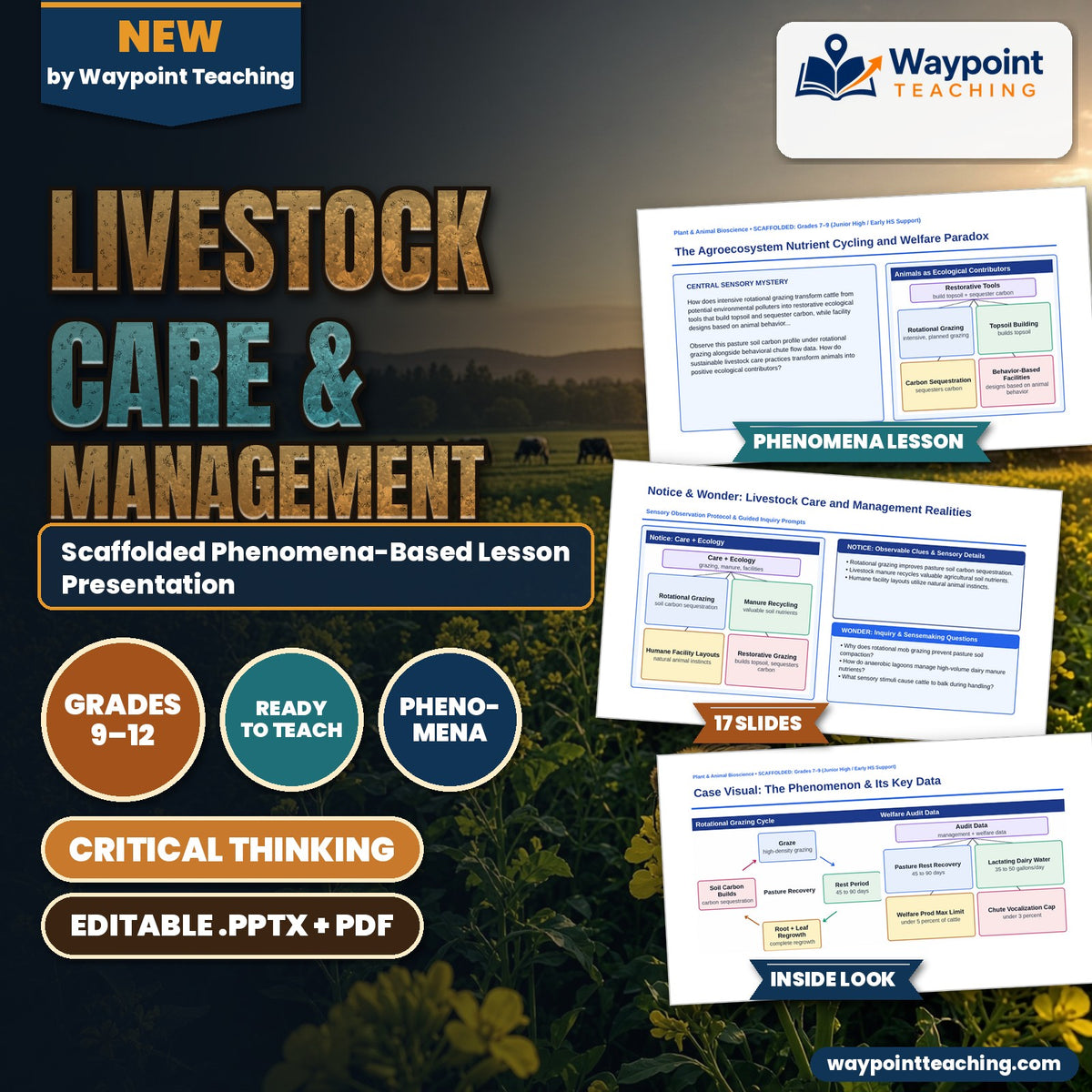 Livestock Care & Management Scaffolded Phenomena-Based Lesson: The Agroecosystem Nutrient Cycling and Welfare Paradox Presentation cover