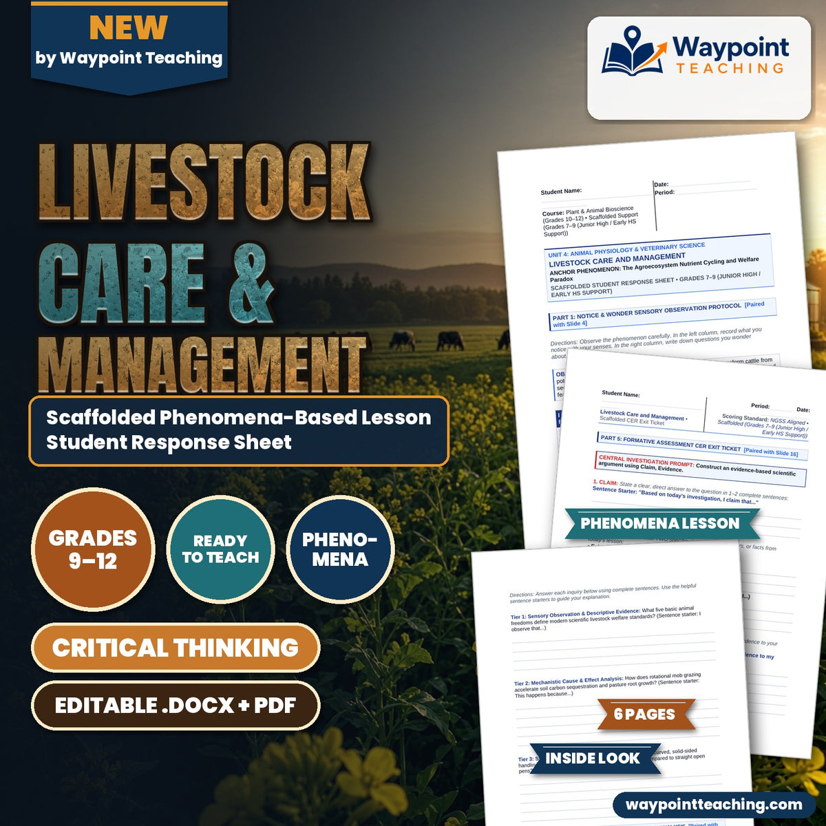 Livestock Care & Management Scaffolded Phenomena-Based Lesson: The Agroecosystem Nutrient Cycling and Welfare Paradox Student Response Sheet cover
