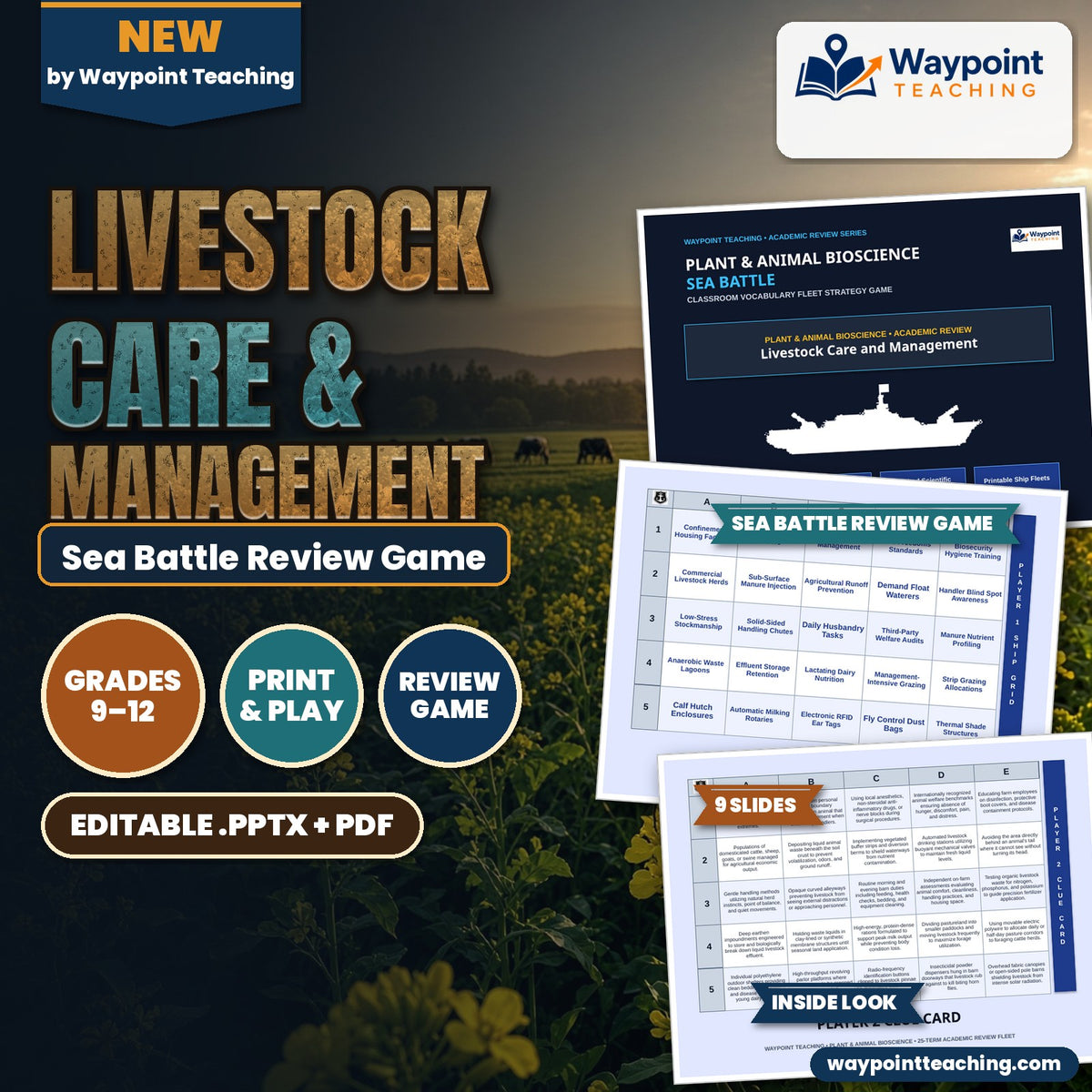 Livestock Care & Management Sea Battle Review Game cover