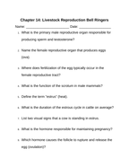 Livestock Reproduction Bell Ringers & Exit Tickets sample page
