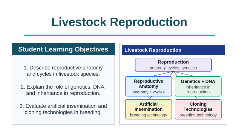 Livestock Reproduction Slide Show Presentation sample page