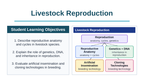 Livestock Reproduction Slide Show Presentation sample page