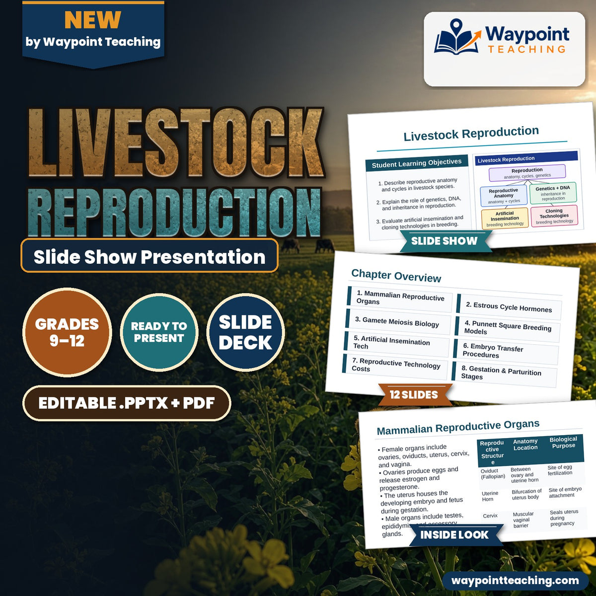 Livestock Reproduction Slide Show Presentation cover