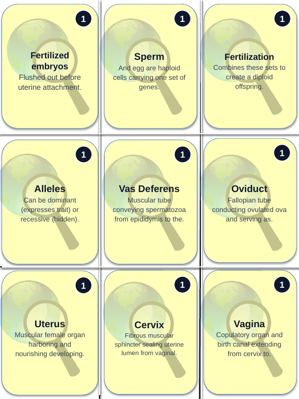 Livestock Reproduction Trivia Board Game sample page
