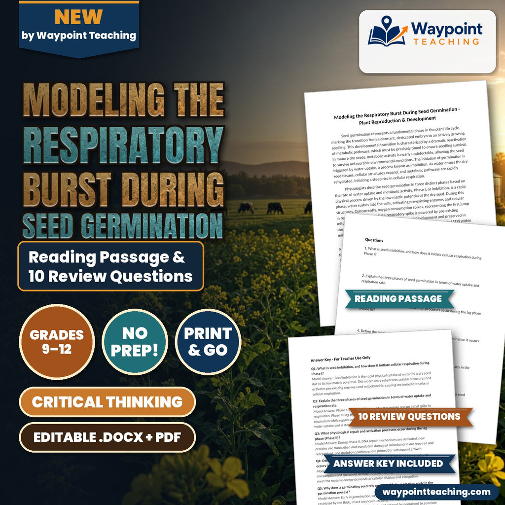 Modeling the Respiratory Burst During Seed Germination Reading Worksheet cover