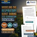 Modeling the Respiratory Burst During Seed Germination Reading Worksheet cover