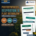 Photosynthesis, Respiration, & Plant Metabolism Differentiation Stations cover