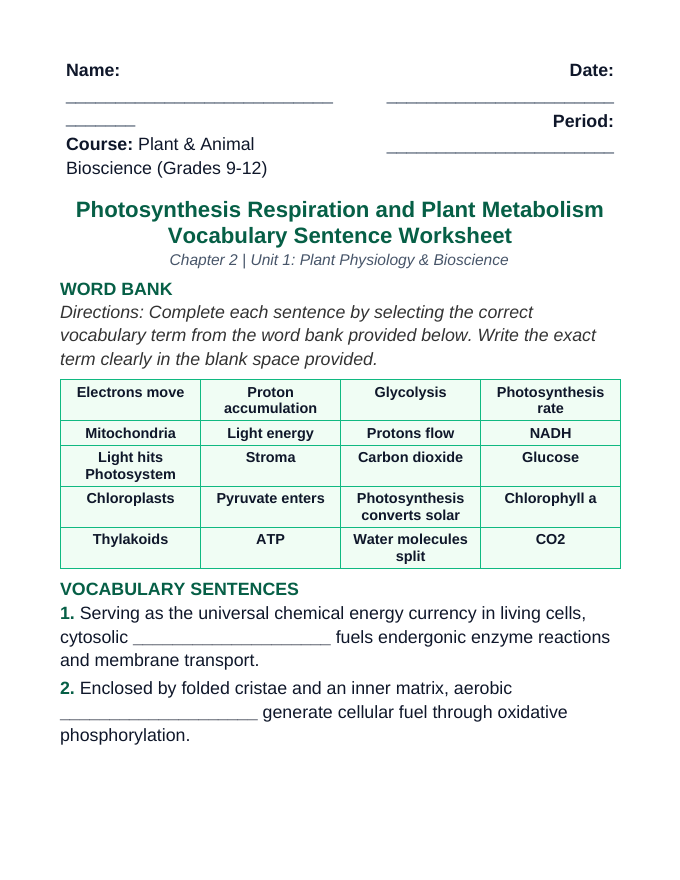 Photosynthesis, Respiration, & Plant Metabolism Fill-in-the-Blank Vocabulary Worksheet sample page