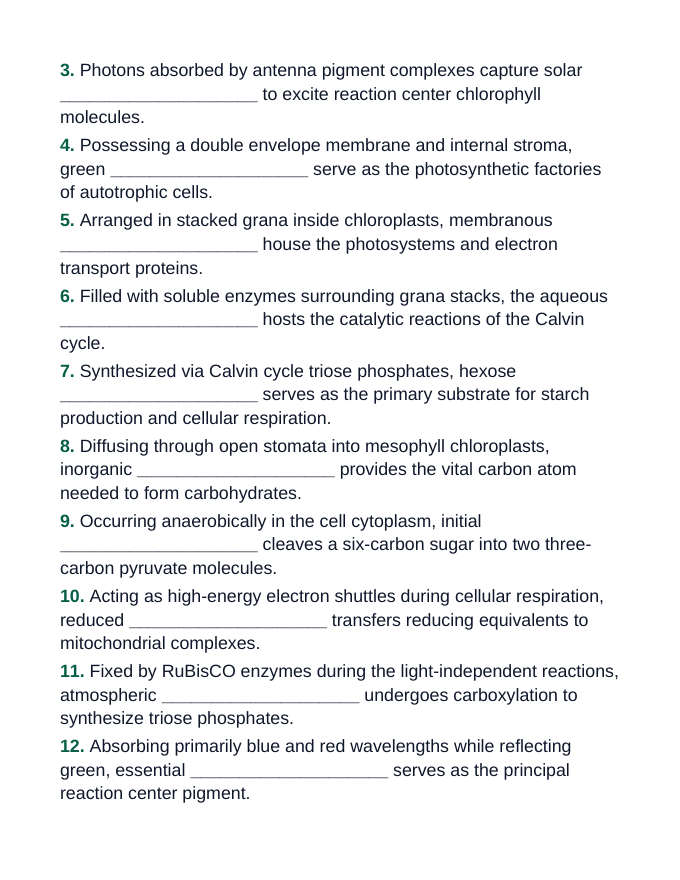 Photosynthesis, Respiration, & Plant Metabolism Fill-in-the-Blank Vocabulary Worksheet sample page