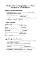 Photosynthesis, Respiration, & Plant Metabolism Guided Notes sample page