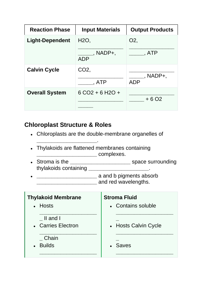 Photosynthesis, Respiration, & Plant Metabolism Guided Notes sample page