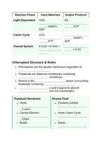 Photosynthesis, Respiration, & Plant Metabolism Guided Notes sample page