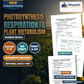 Photosynthesis, Respiration, & Plant Metabolism Guided Notes cover