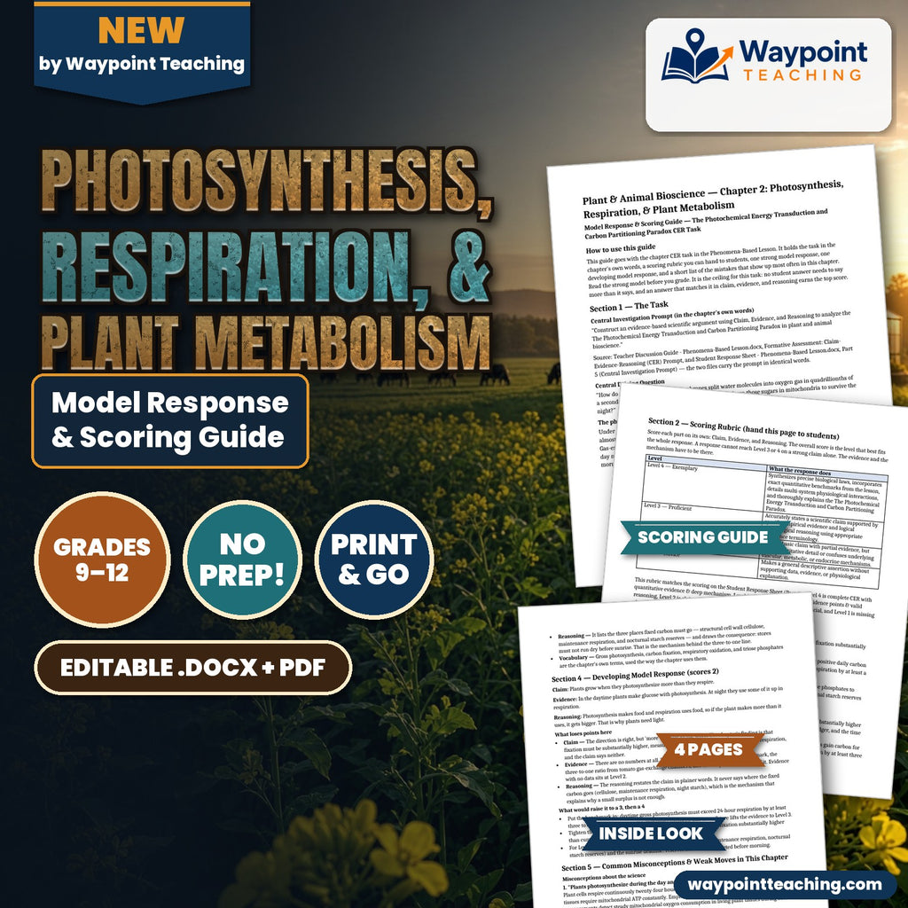 Photosynthesis, Respiration, & Plant Metabolism Model Response & Scoring Guide cover