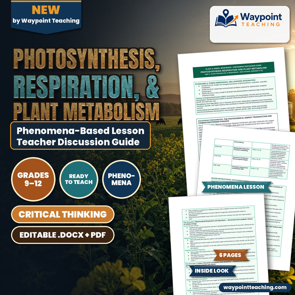Photosynthesis, Respiration, & Plant Metabolism Phenomena-Based Lesson: The Photochemical Energy Transduction and Carbon Partitioning Paradox Teacher Discussion Guide cover