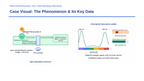 Photosynthesis, Respiration, & Plant Metabolism Phenomena-Based Lesson: The Photochemical Energy Transduction and Carbon Partitioning Paradox Presentation sample page