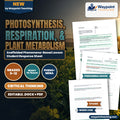 Photosynthesis, Respiration, & Plant Metabolism Scaffolded Phenomena-Based Lesson: The Photochemical Energy Transduction and Carbon Partitioning Paradox Student Response Sheet cover