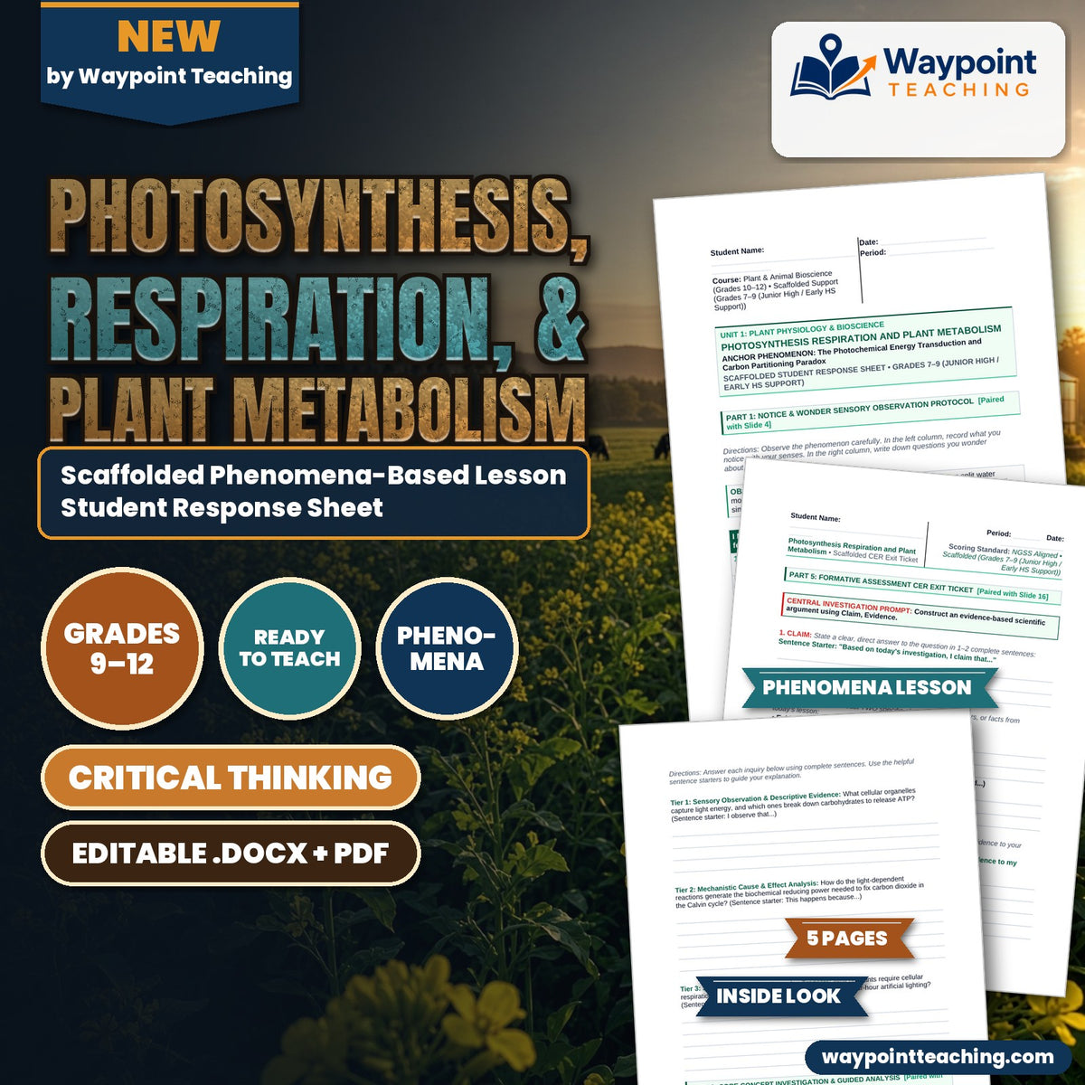 Photosynthesis, Respiration, & Plant Metabolism Scaffolded Phenomena-Based Lesson: The Photochemical Energy Transduction and Carbon Partitioning Paradox Student Response Sheet cover