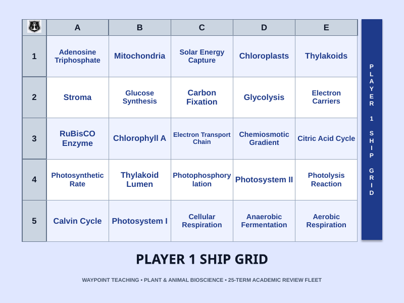 Photosynthesis, Respiration, & Plant Metabolism Sea Battle Review Game sample page