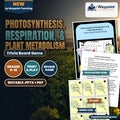 Photosynthesis, Respiration, & Plant Metabolism Trivia Board Game cover