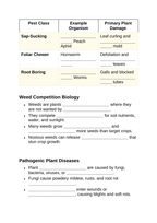 Plant Pests & Disease Management Guided Notes sample page