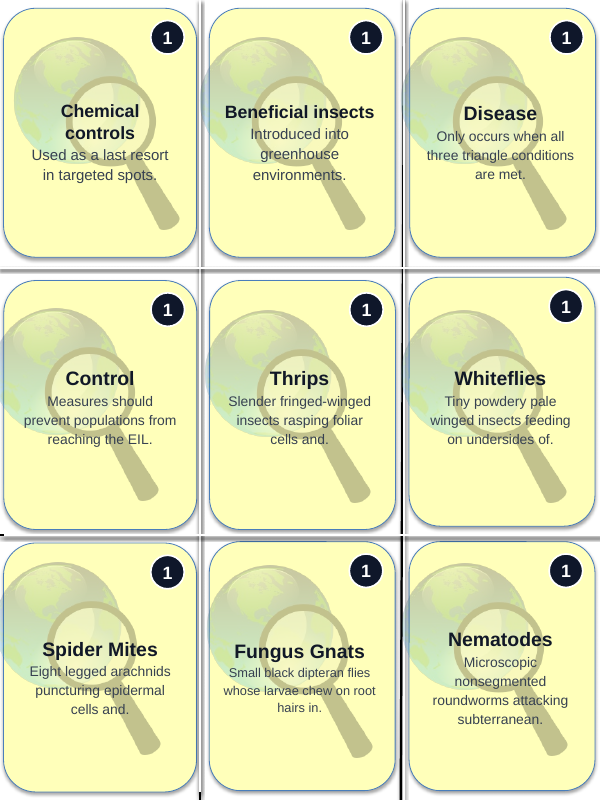 Plant Pests & Disease Management Trivia Board Game sample page