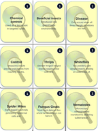 Plant Pests & Disease Management Trivia Board Game sample page
