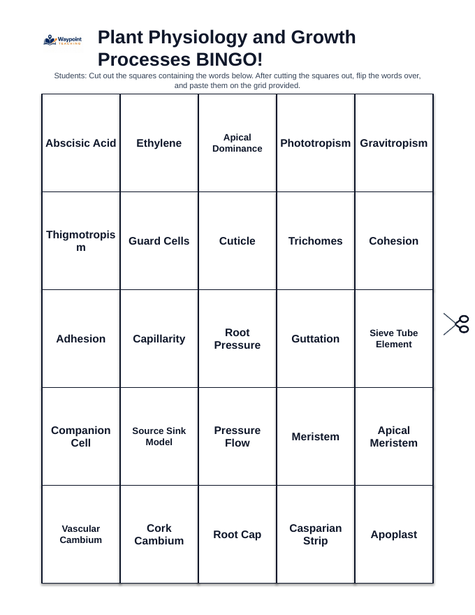 Plant Physiology & Growth Processes BINGO Review Game sample page