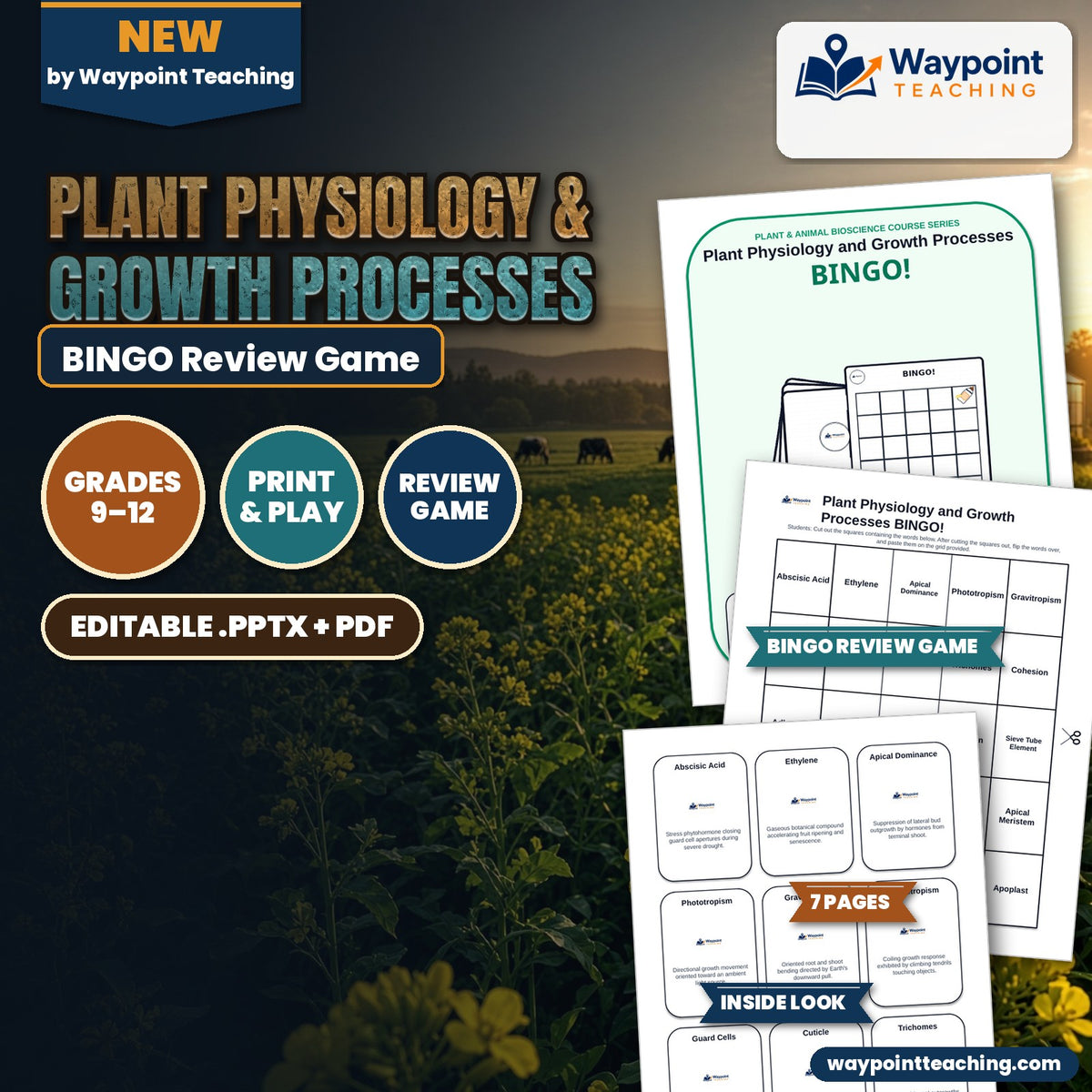 Plant Physiology & Growth Processes BINGO Review Game cover
