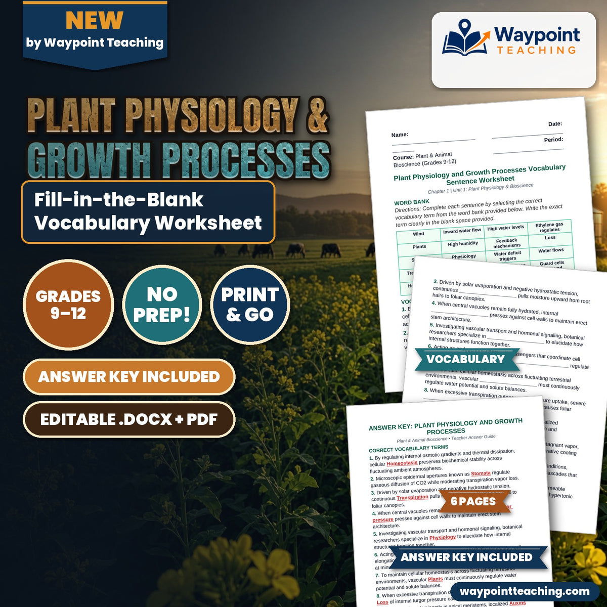 Plant Physiology & Growth Processes Fill-in-the-Blank Vocabulary Worksheet cover