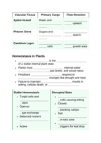 Plant Physiology & Growth Processes Guided Notes sample page