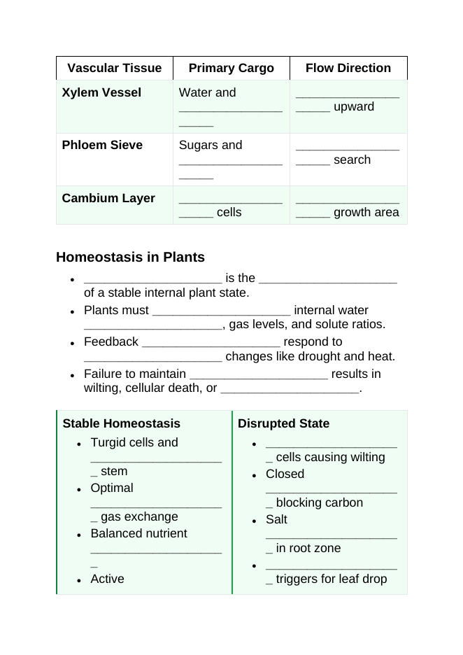 Plant Physiology & Growth Processes Guided Notes sample page