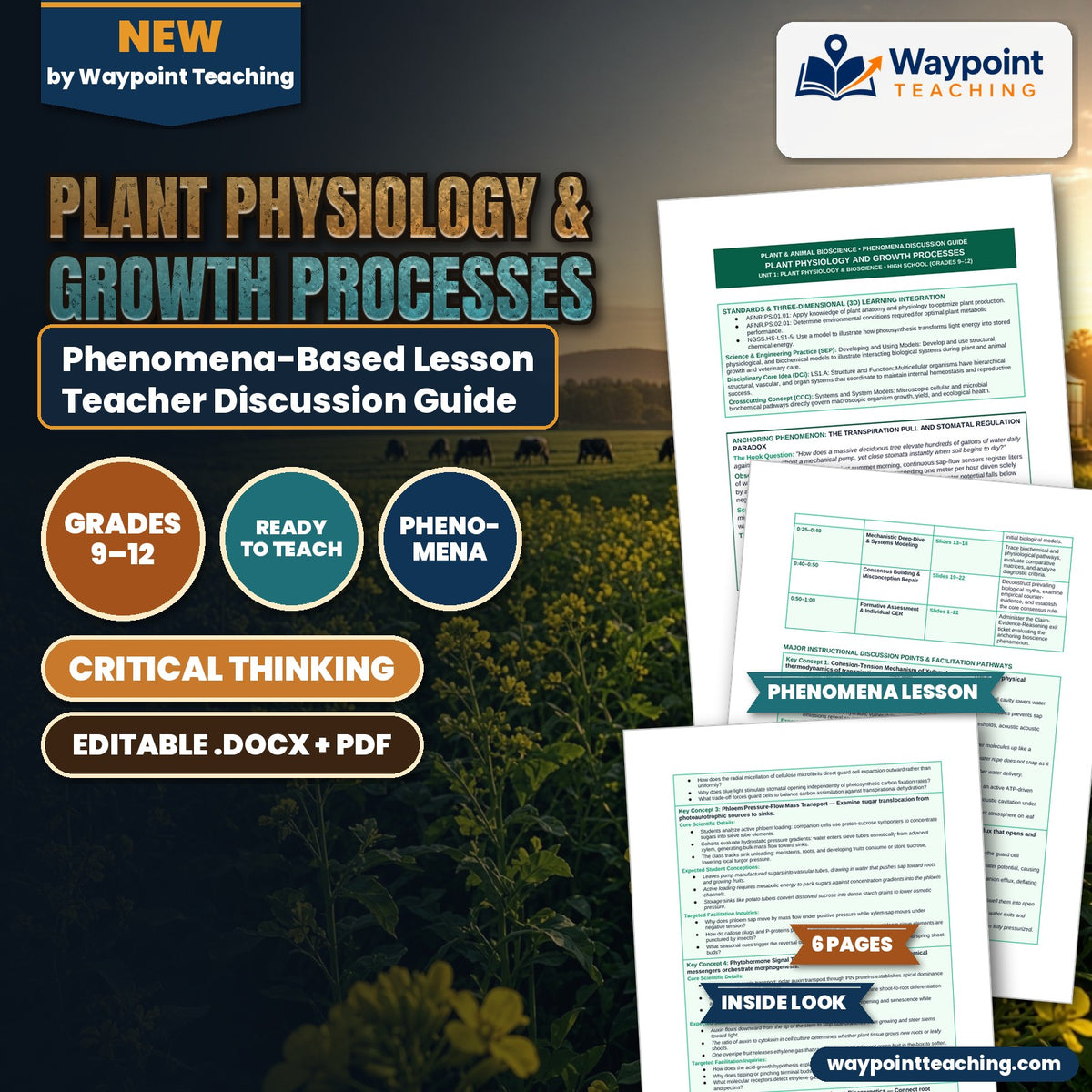Plant Physiology & Growth Processes Phenomena-Based Lesson: The Transpiration Pull and Stomatal Regulation Paradox Teacher Discussion Guide cover
