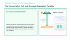 Plant Physiology & Growth Processes Phenomena-Based Lesson: The Transpiration Pull and Stomatal Regulation Paradox Presentation sample page