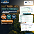 Plant Physiology & Growth Processes Phenomena-Based Lesson: The Transpiration Pull and Stomatal Regulation Paradox Presentation cover