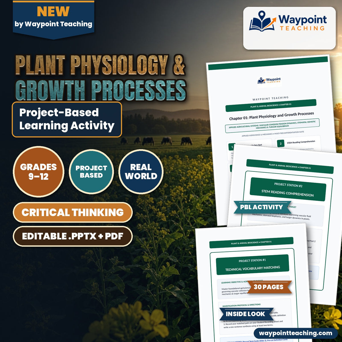 Plant Physiology & Growth Processes Project-Based Learning Activity cover