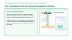 Plant Physiology & Growth Processes Scaffolded Phenomena-Based Lesson: The Transpiration Pull and Stomatal Regulation Paradox Presentation sample page