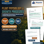 Plant Physiology & Growth Processes Scaffolded Phenomena-Based Lesson: The Transpiration Pull and Stomatal Regulation Paradox Student Response Sheet cover