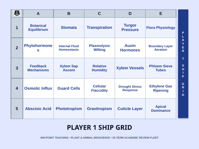 Plant Physiology & Growth Processes Sea Battle Review Game sample page