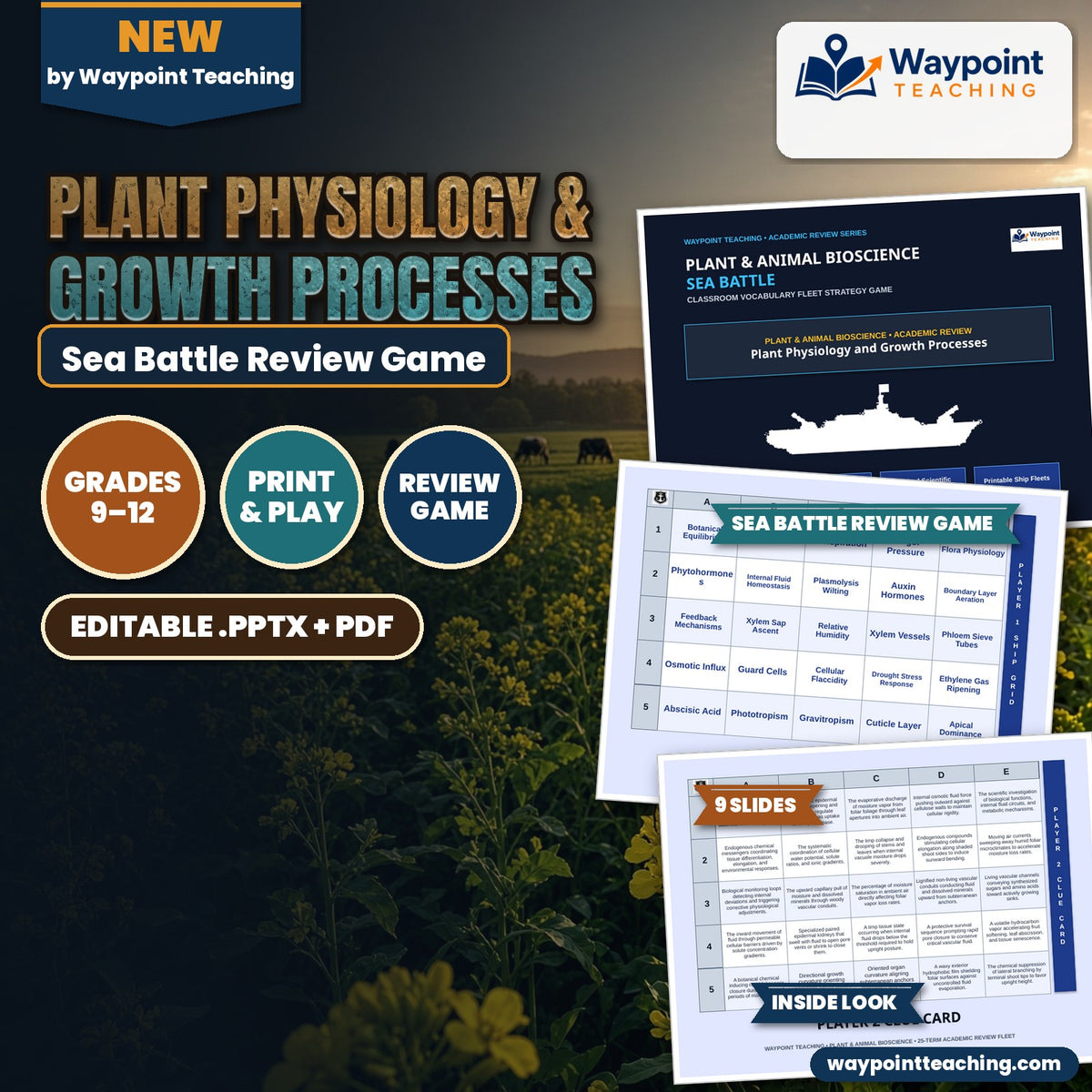 Plant Physiology & Growth Processes Sea Battle Review Game cover